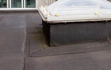 disadvantages of Pantmawr flat roofs